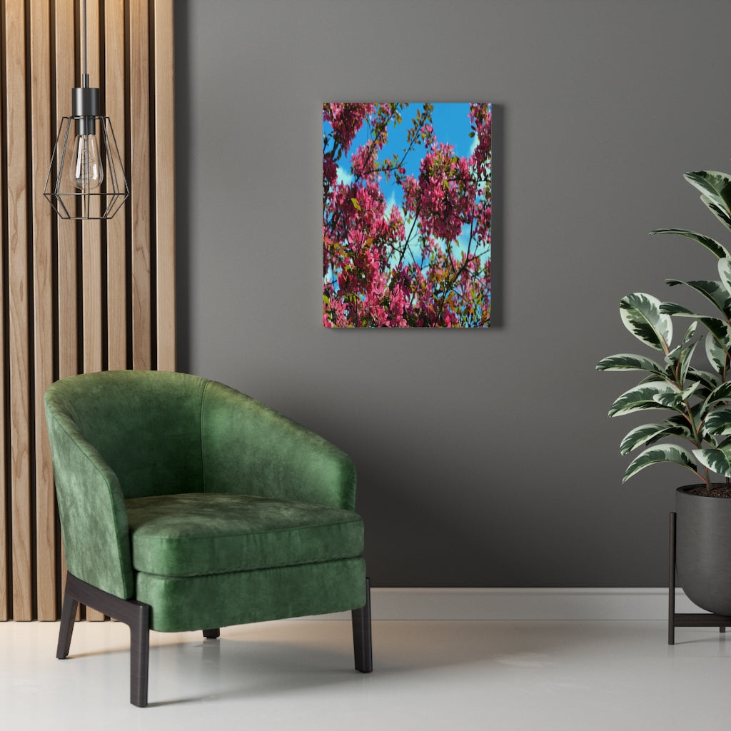 Flowering Crabapple Stretched Canvas