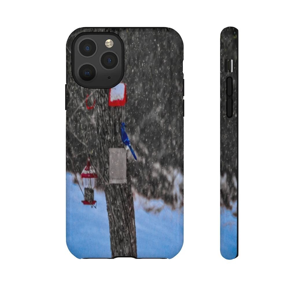 Blue Jay in Winter Mobile Phone Case for iPhone and Samsung Galaxy