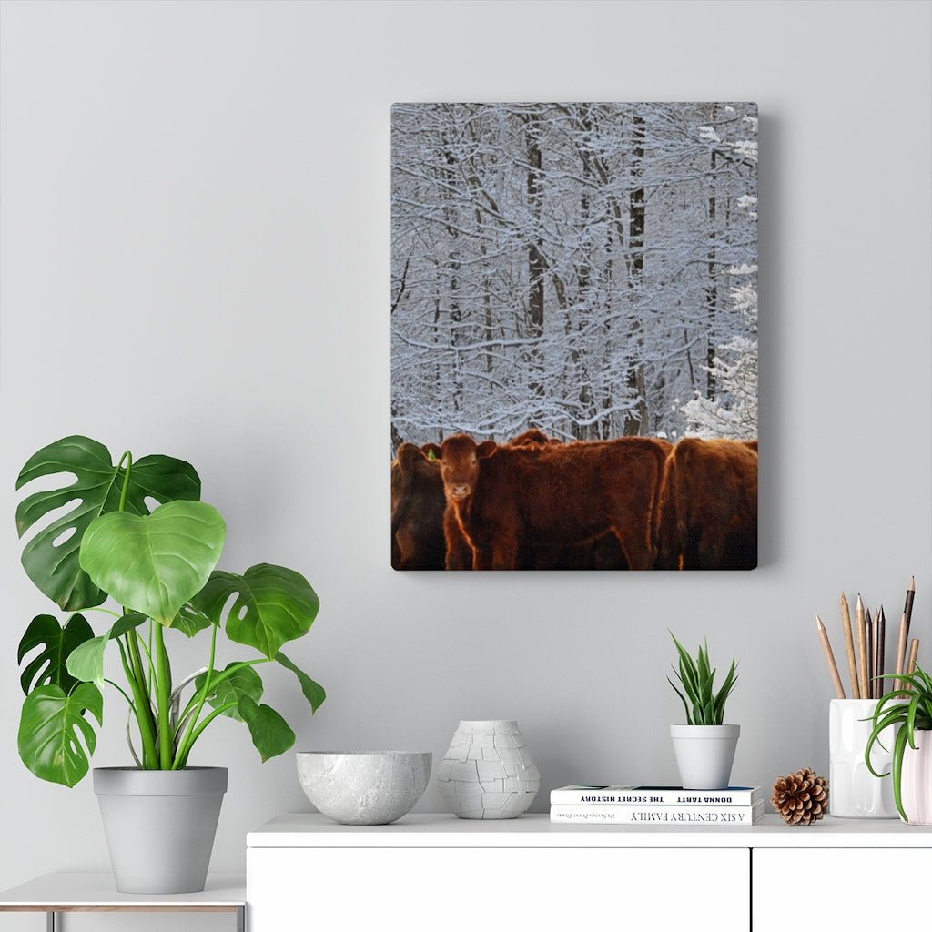 Winter Herd Stretched Canvas