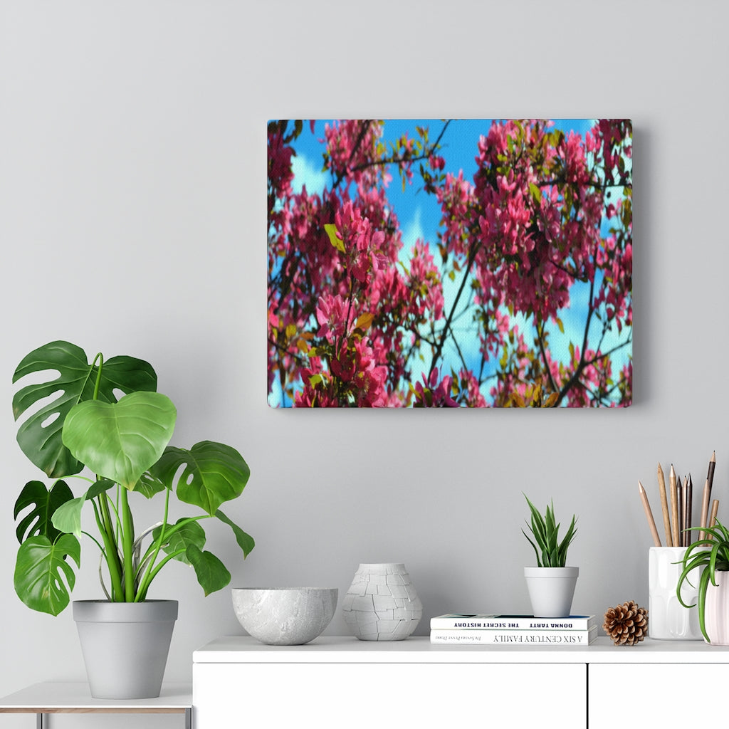 Flowering Crabapple Stretched Canvas