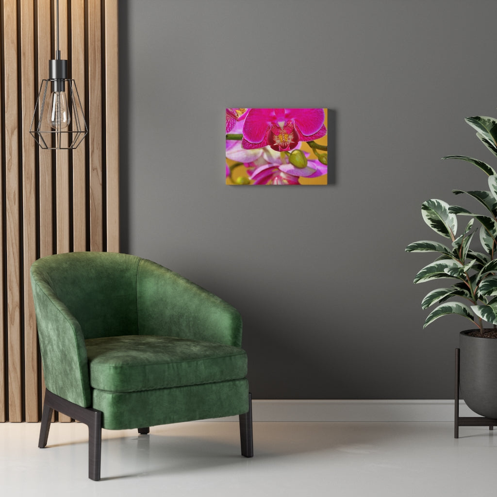 Orchid Stretched Canvas