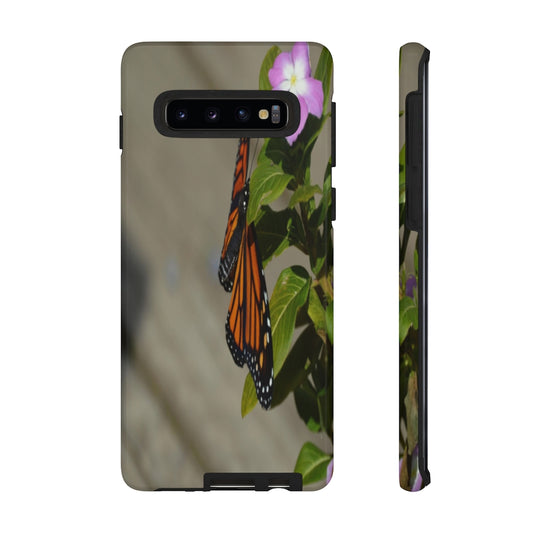 Monarch Butterfly Mobile Phone Case for iPhone and Samsung Galaxy