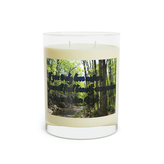 Double-wick Scented Candle - Full Glass, 11oz--Forest Stream photo