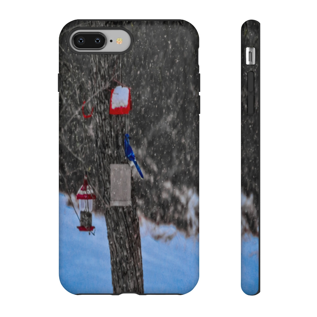 Blue Jay in Winter Mobile Phone Case for iPhone and Samsung Galaxy