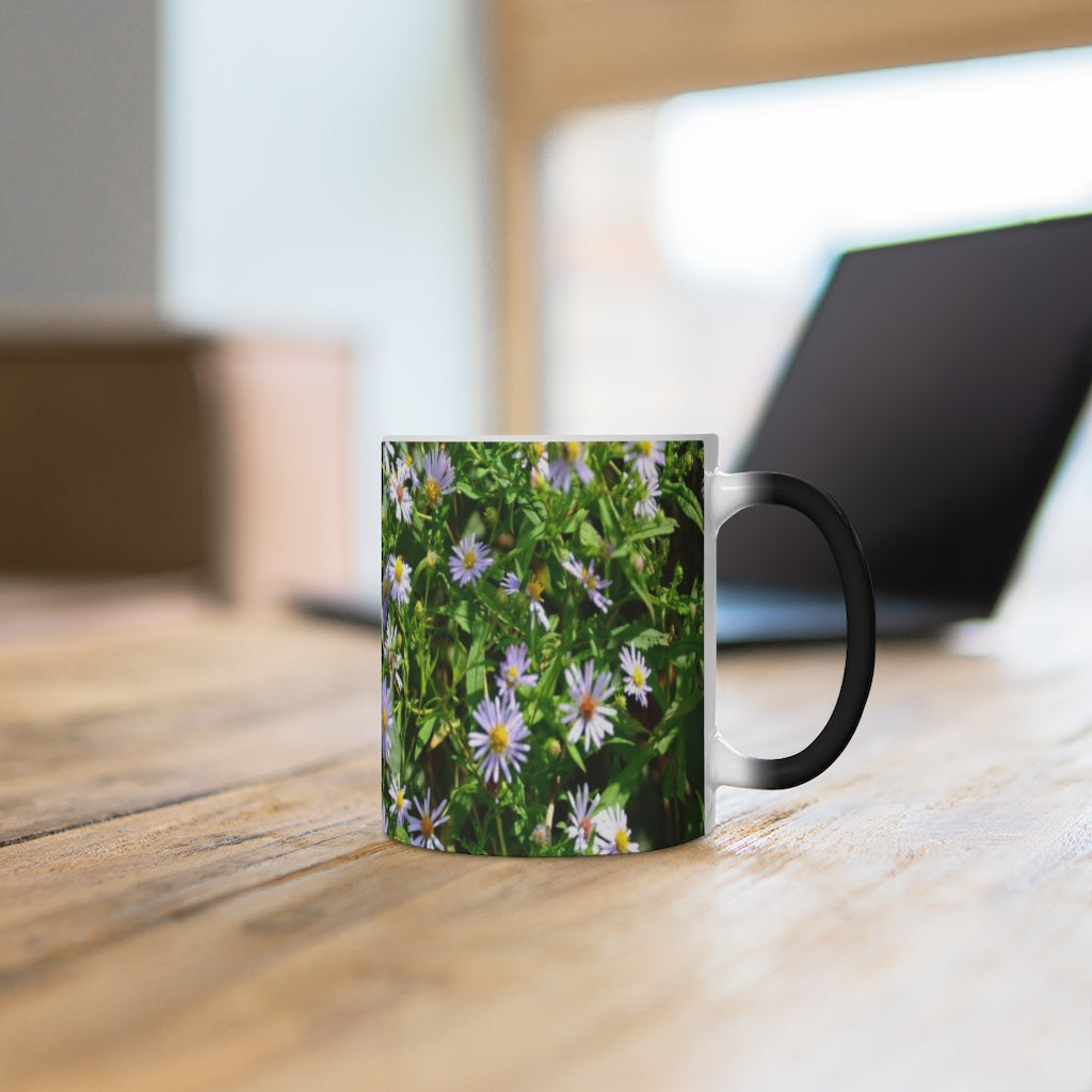 Wild Aster Color Changing Mug