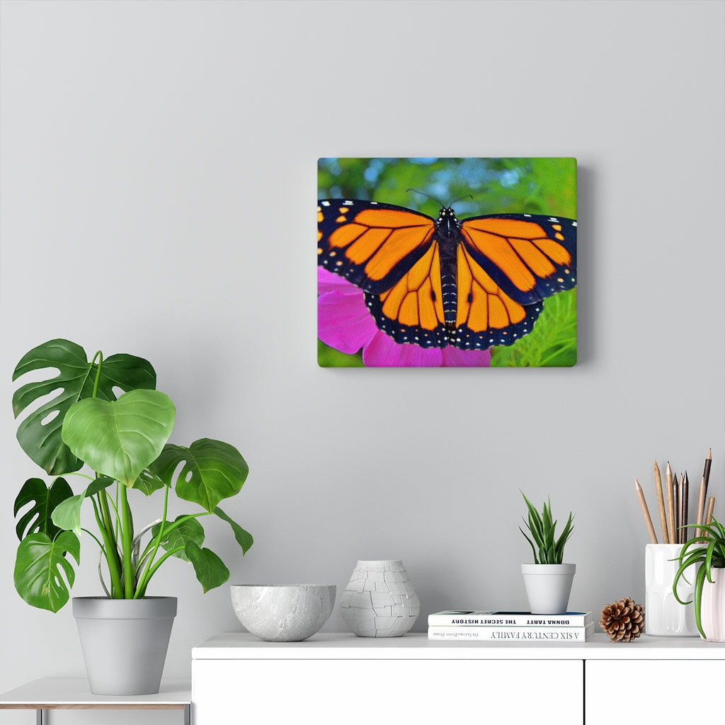 Marco the Monarch Butterfly Stretched Canvas