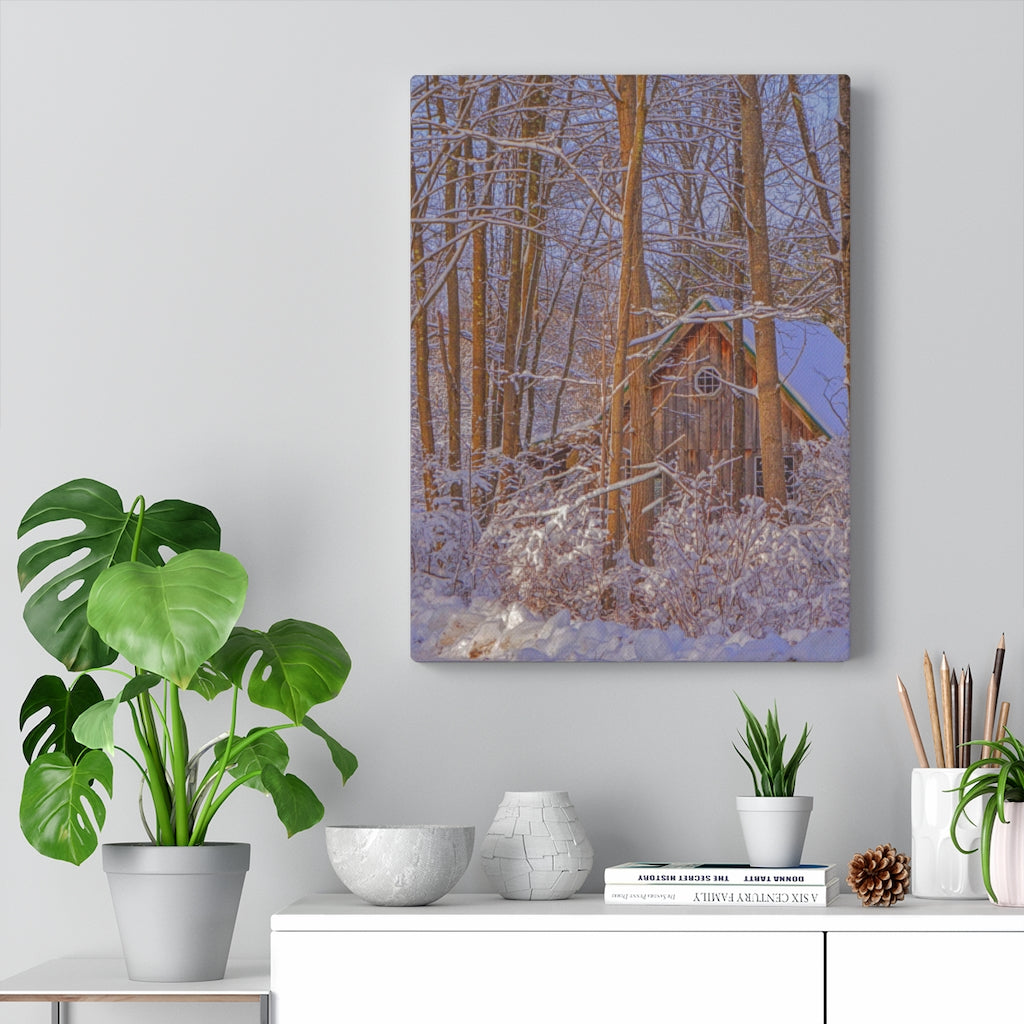 Cabin in the Woods Stretched Canvas