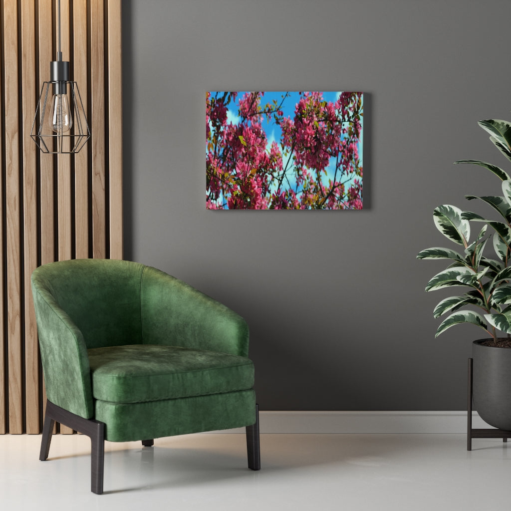 Flowering Crabapple Stretched Canvas