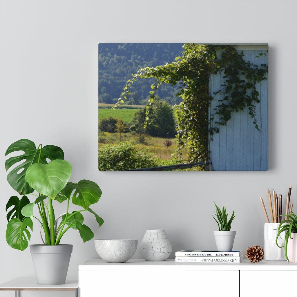 Ivy Barn Stretched Canvas