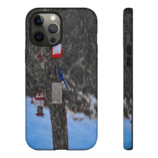 Blue Jay in Winter Mobile Phone Case for iPhone and Samsung Galaxy