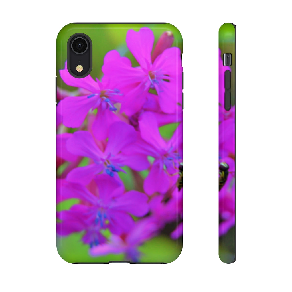 Sweet William Catchfly Mobile Phone Case for iPhone and Samsung Galaxy