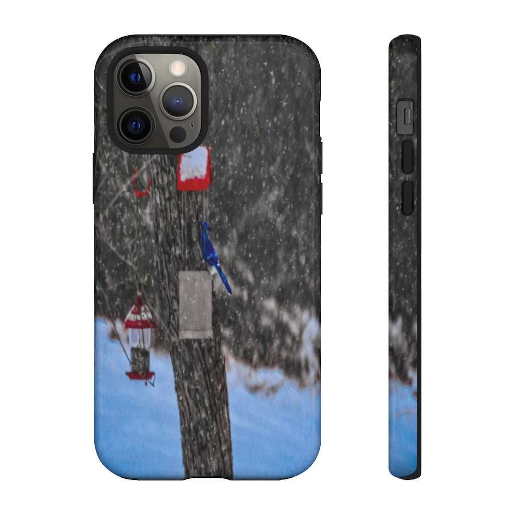 Blue Jay in Winter Mobile Phone Case for iPhone and Samsung Galaxy