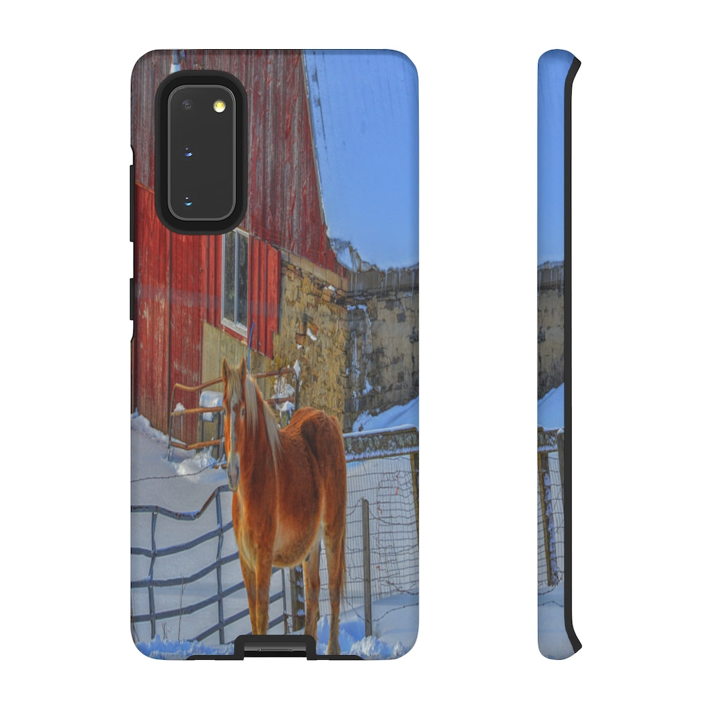 Haflinger in Winter Mobile Phone Case for iPhone and Samsung Galaxy