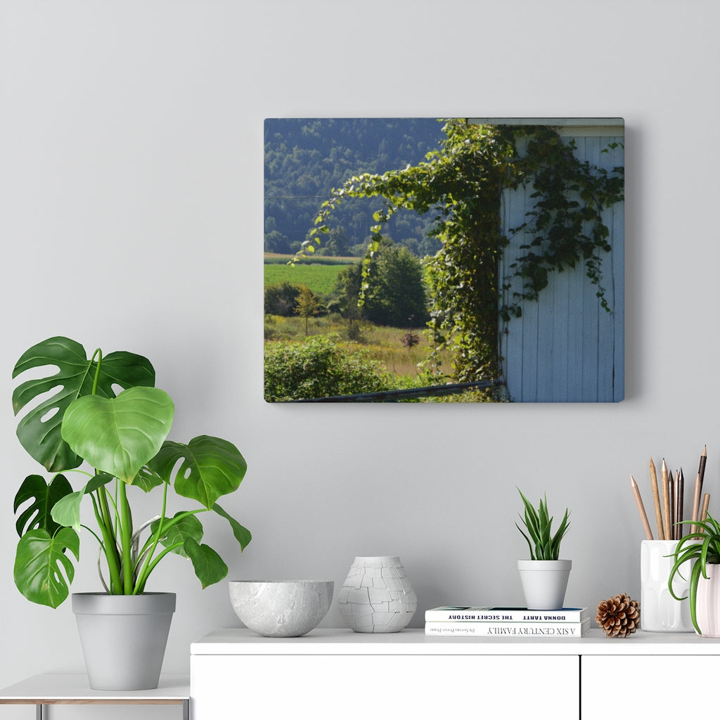 Ivy Barn Stretched Canvas