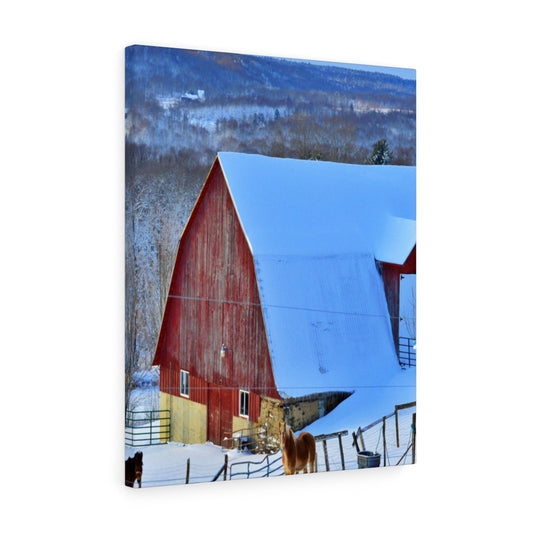 Barns and Horses Stretched Canvas