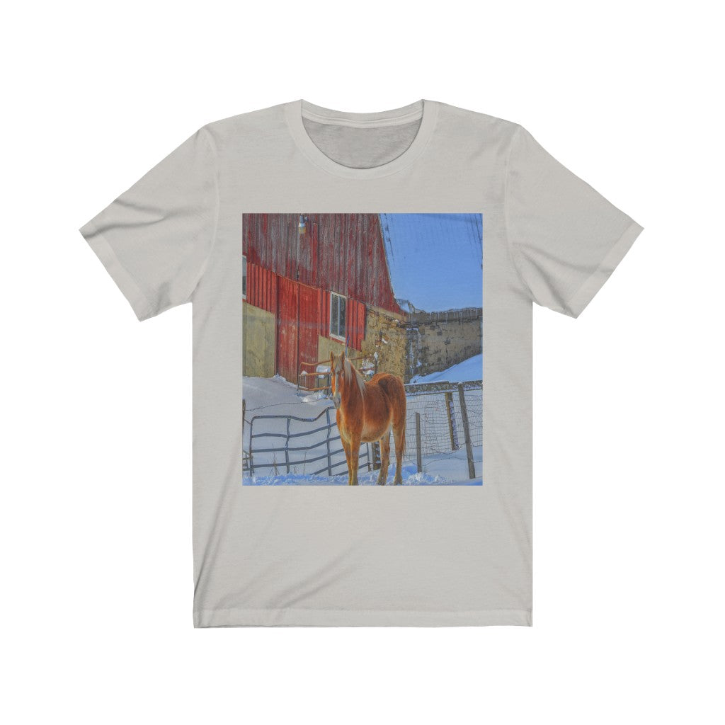 Haflinger Horse Unisex Jersey Short Sleeve Tee