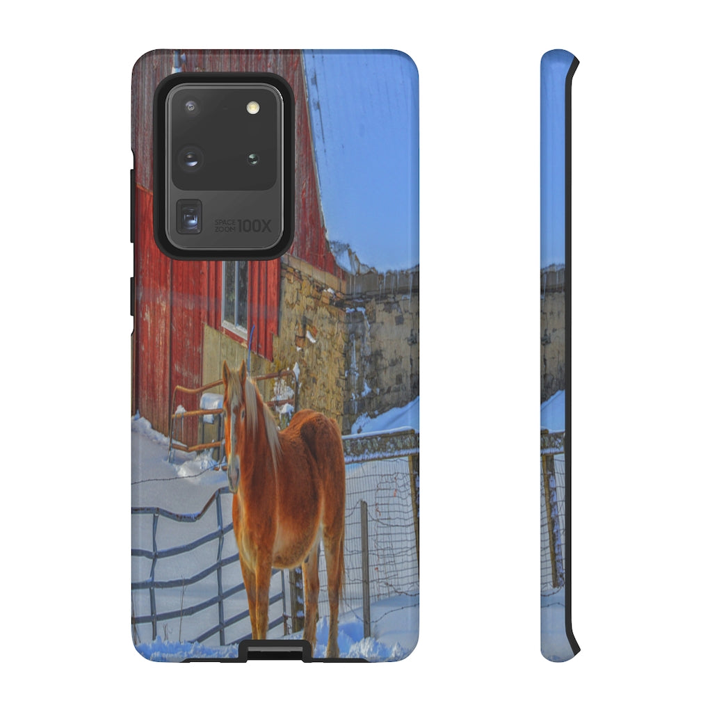 Haflinger in Winter Mobile Phone Case for iPhone and Samsung Galaxy