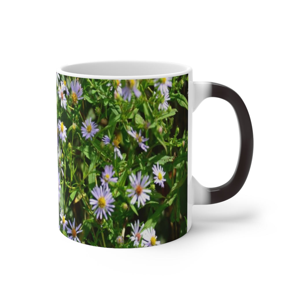 Wild Aster Color Changing Mug