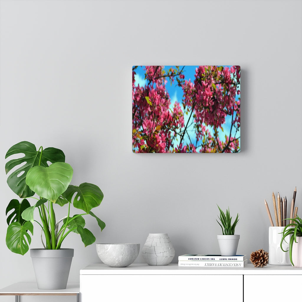 Flowering Crabapple Stretched Canvas