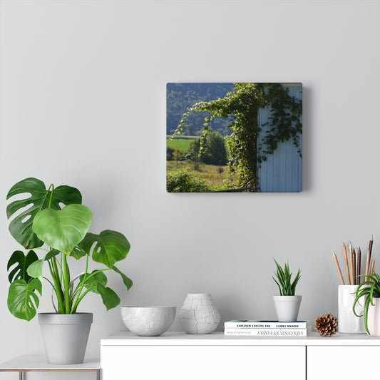 Ivy Barn Stretched Canvas