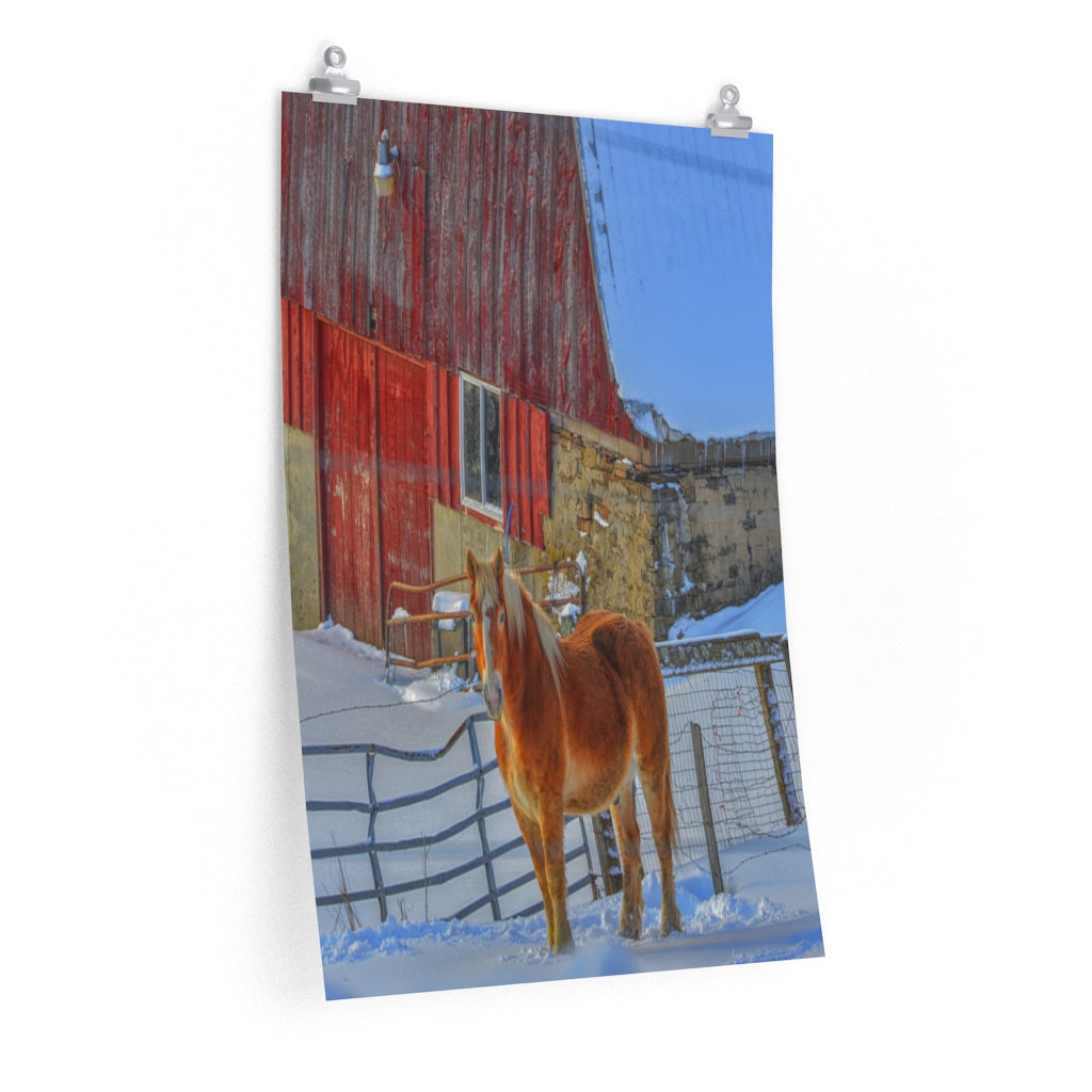 Haflinger Horse Premium Matte vertical poster