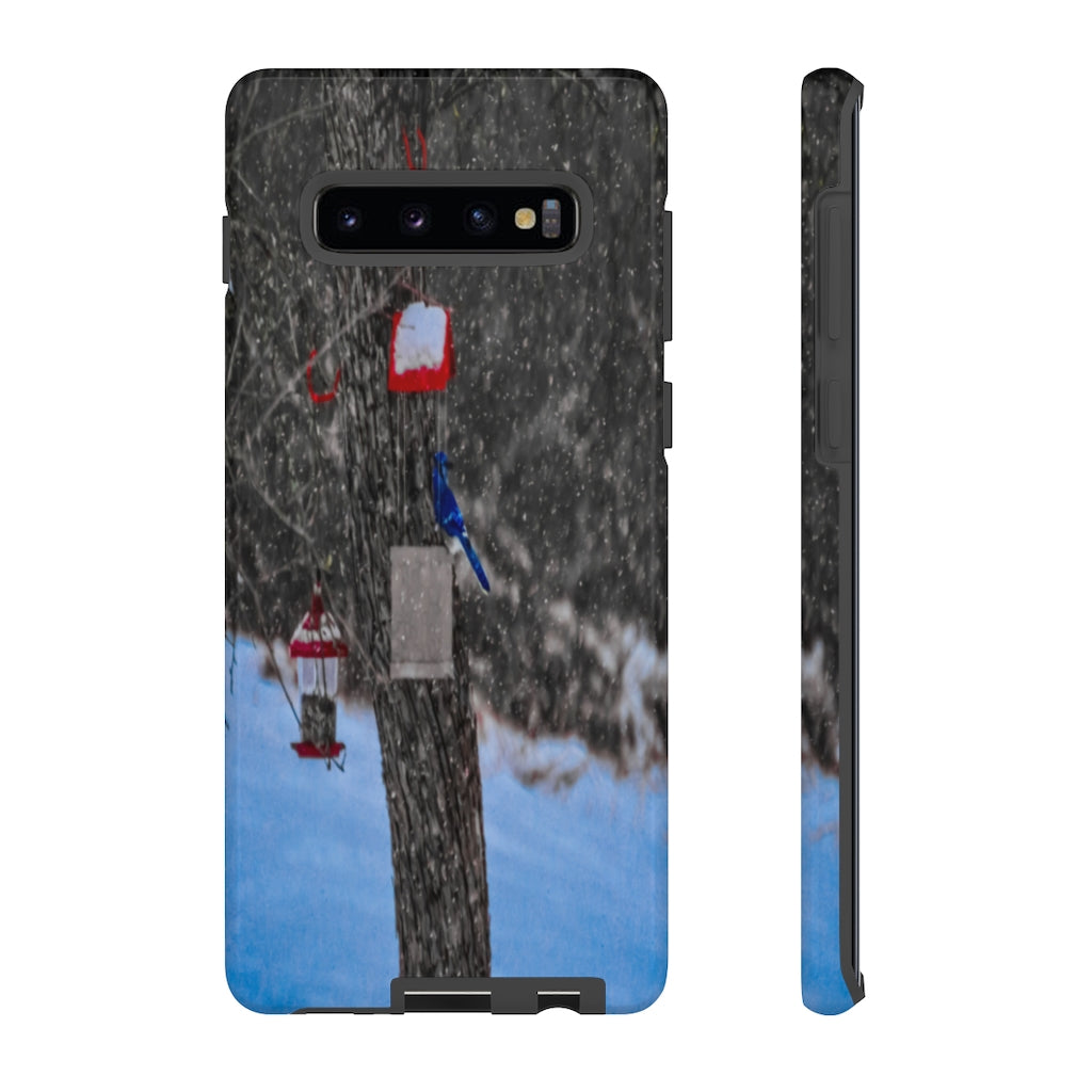 Blue Jay in Winter Mobile Phone Case for iPhone and Samsung Galaxy