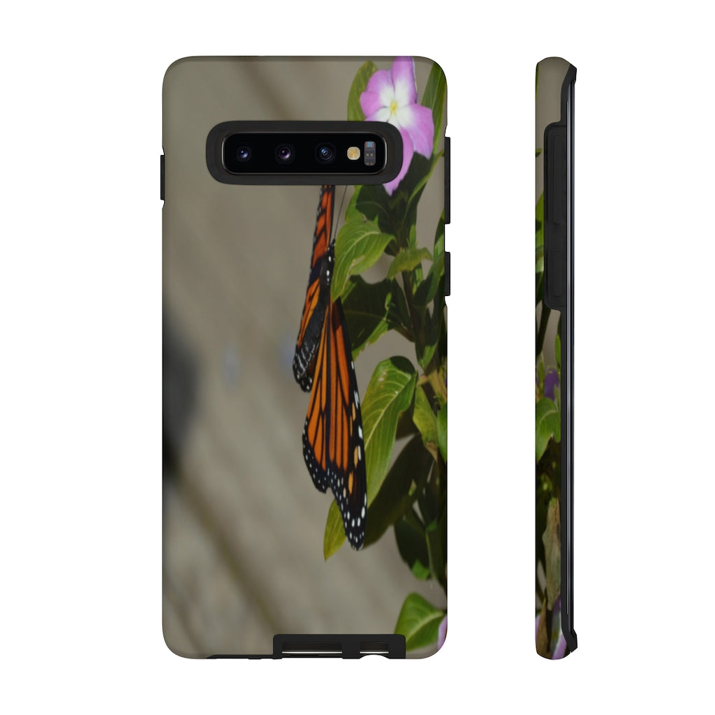 Monarch Butterfly Mobile Phone Case for iPhone and Samsung Galaxy