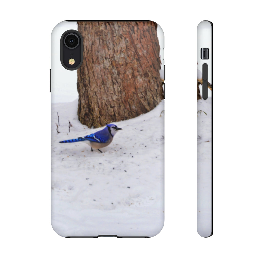 Blue Jay on the Ground Mobile Phone Case for iPhone and Samsung Galaxy