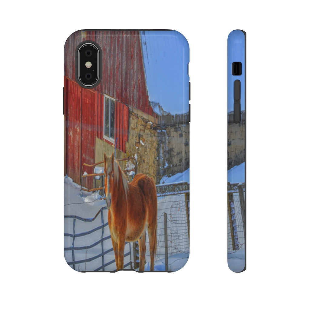 Haflinger in Winter Mobile Phone Case for iPhone and Samsung Galaxy