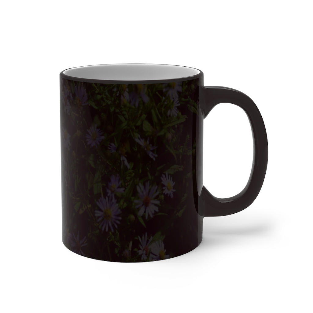 Wild Aster Color Changing Mug