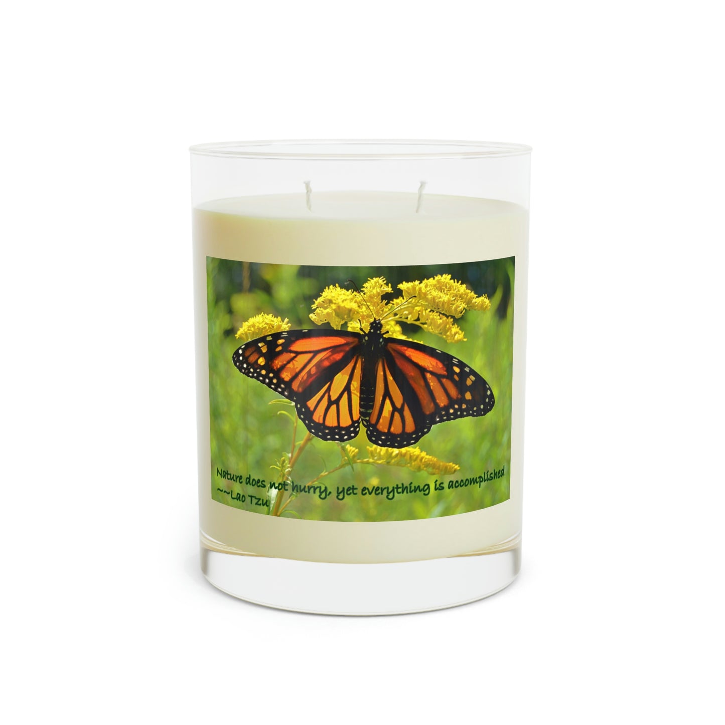 Double-wick Scented Candle - Full Glass, 11oz--Elizabeth the Monarch Butterfly photo