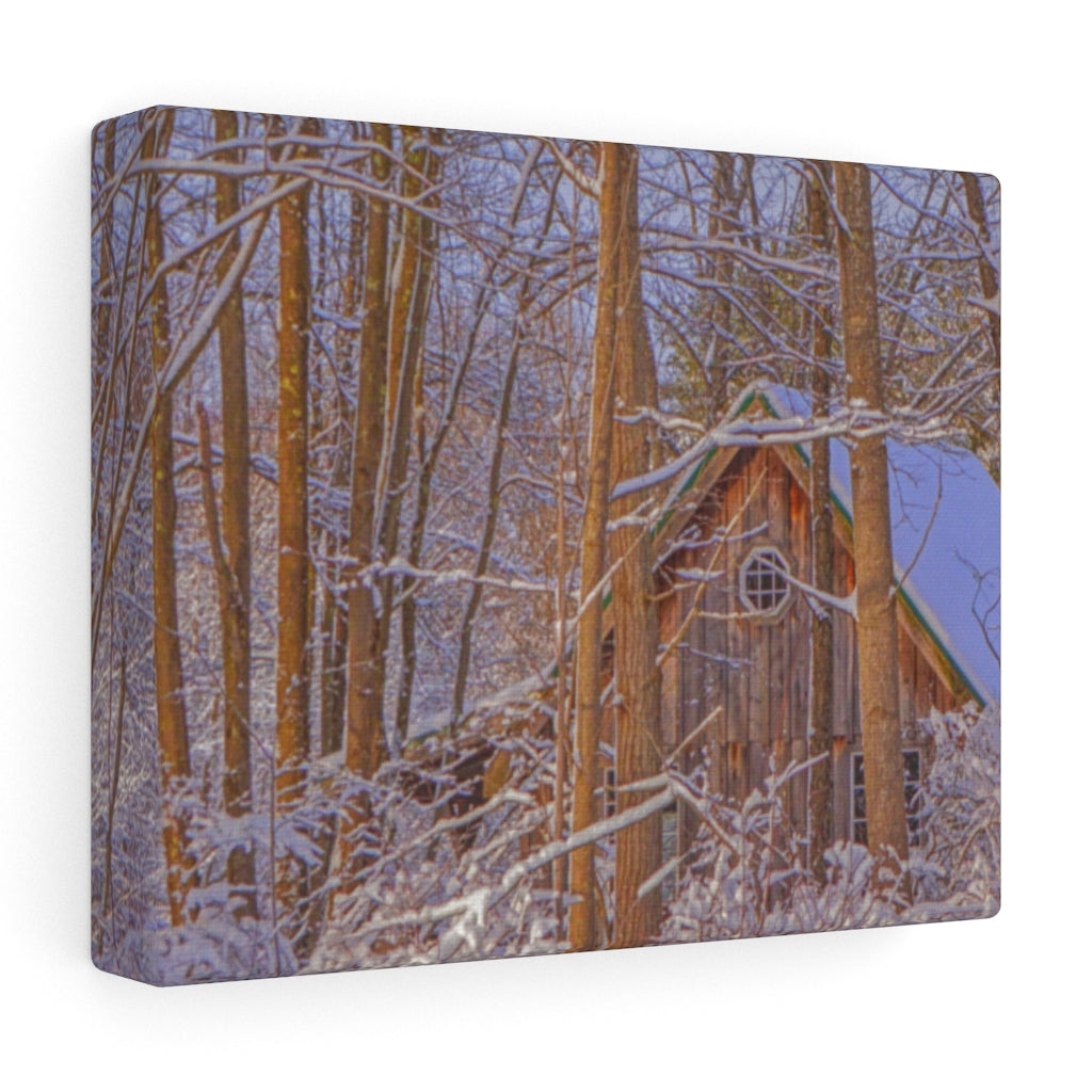 Cabin in the Woods Stretched Canvas