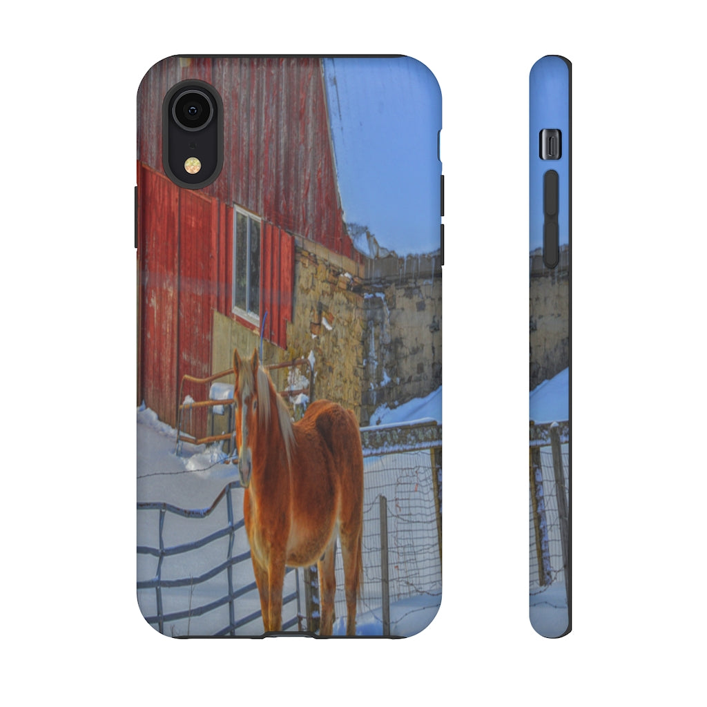 Haflinger in Winter Mobile Phone Case for iPhone and Samsung Galaxy