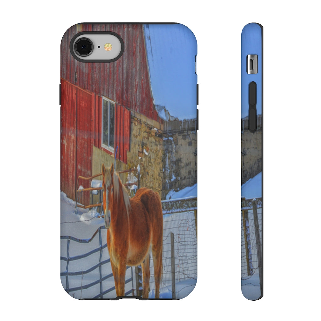 Haflinger in Winter Mobile Phone Case for iPhone and Samsung Galaxy