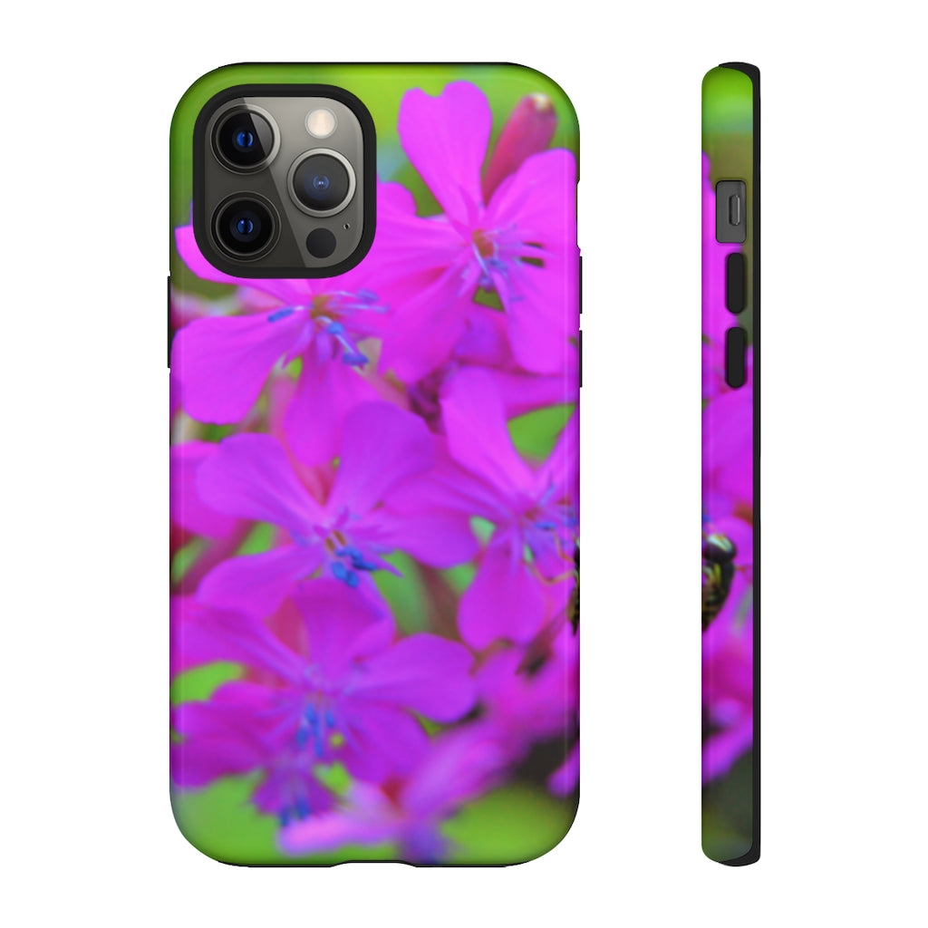 Sweet William Catchfly Mobile Phone Case for iPhone and Samsung Galaxy