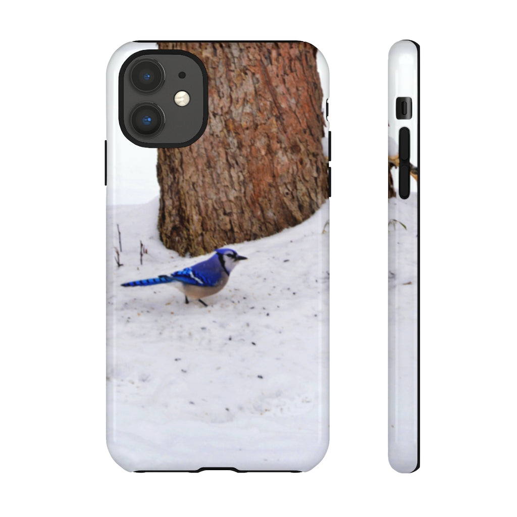 Blue Jay on the Ground Mobile Phone Case for iPhone and Samsung Galaxy