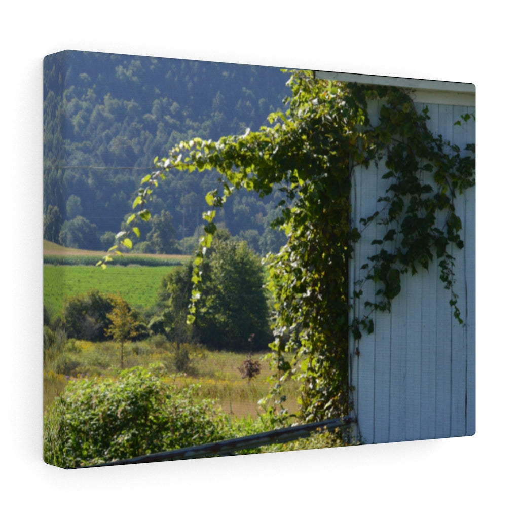 Ivy Barn Stretched Canvas