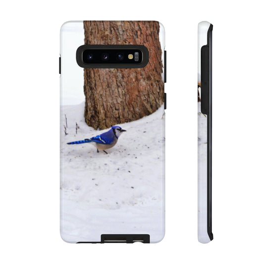 Blue Jay on the Ground Mobile Phone Case for iPhone and Samsung Galaxy