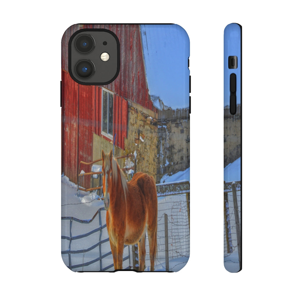 Haflinger in Winter Mobile Phone Case for iPhone and Samsung Galaxy