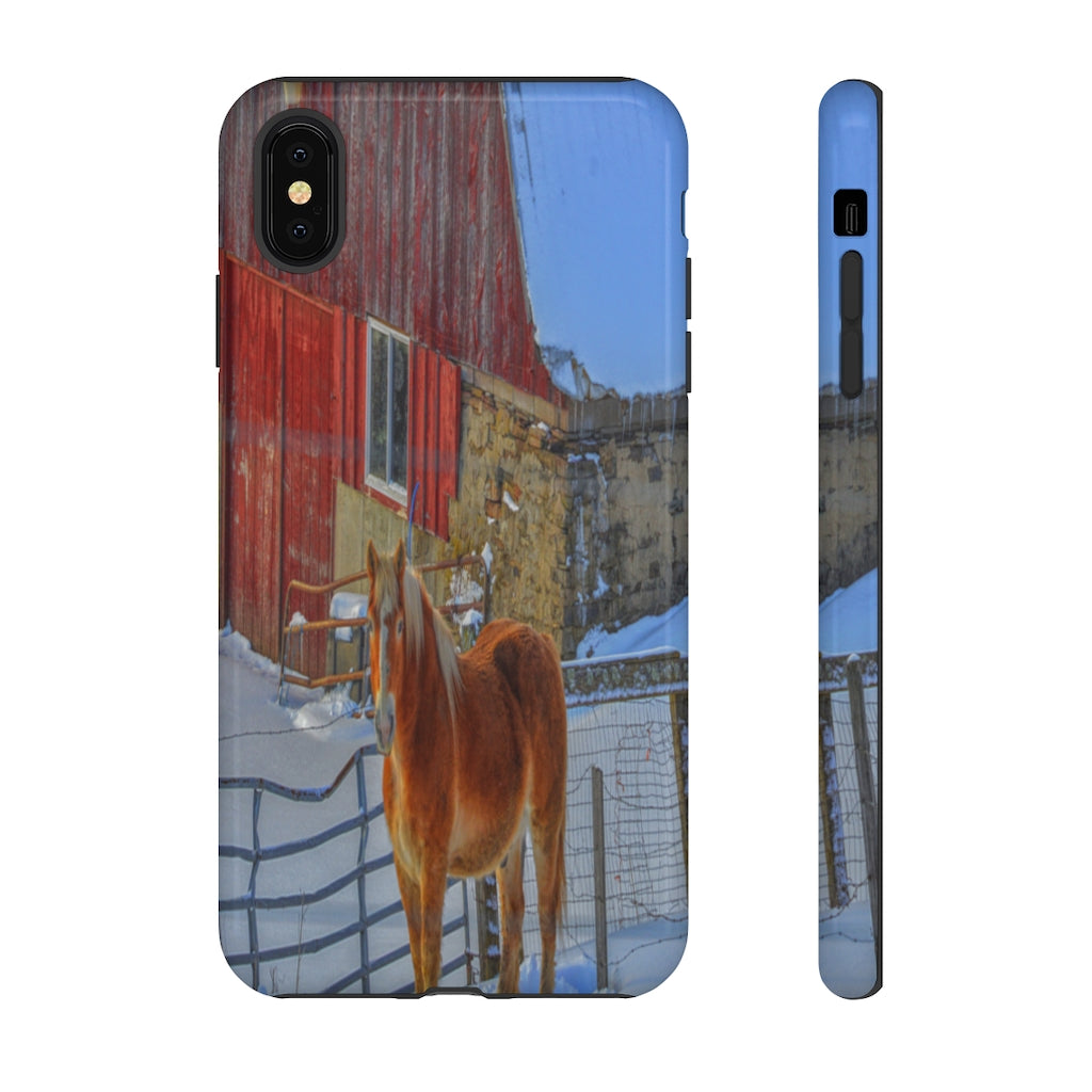 Haflinger in Winter Mobile Phone Case for iPhone and Samsung Galaxy