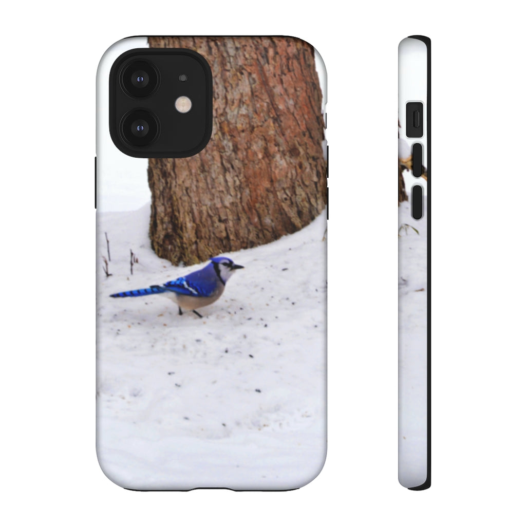 Blue Jay on the Ground Mobile Phone Case for iPhone and Samsung Galaxy