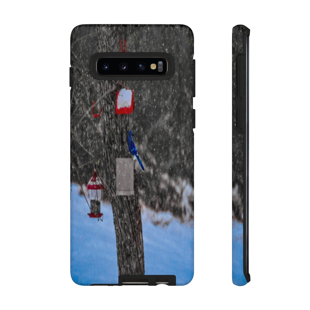 Blue Jay in Winter Mobile Phone Case for iPhone and Samsung Galaxy