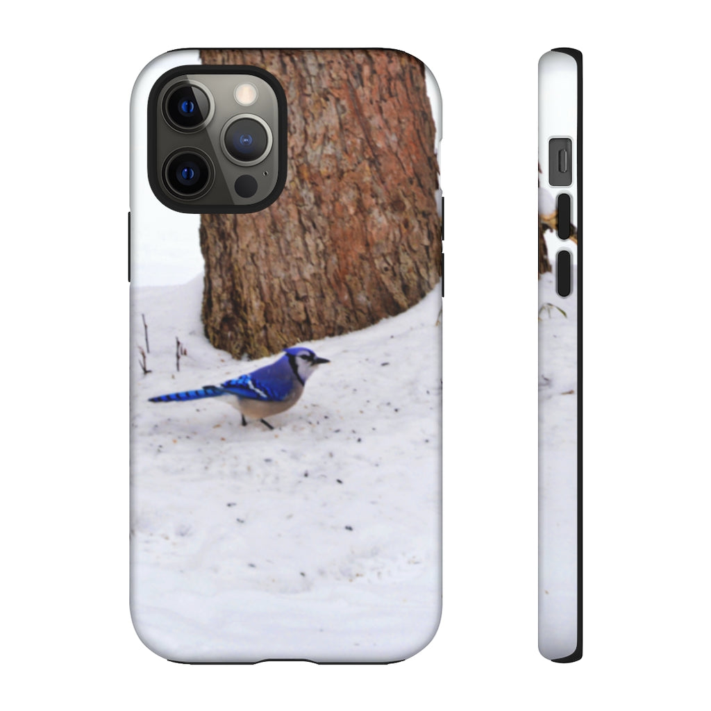 Blue Jay on the Ground Mobile Phone Case for iPhone and Samsung Galaxy