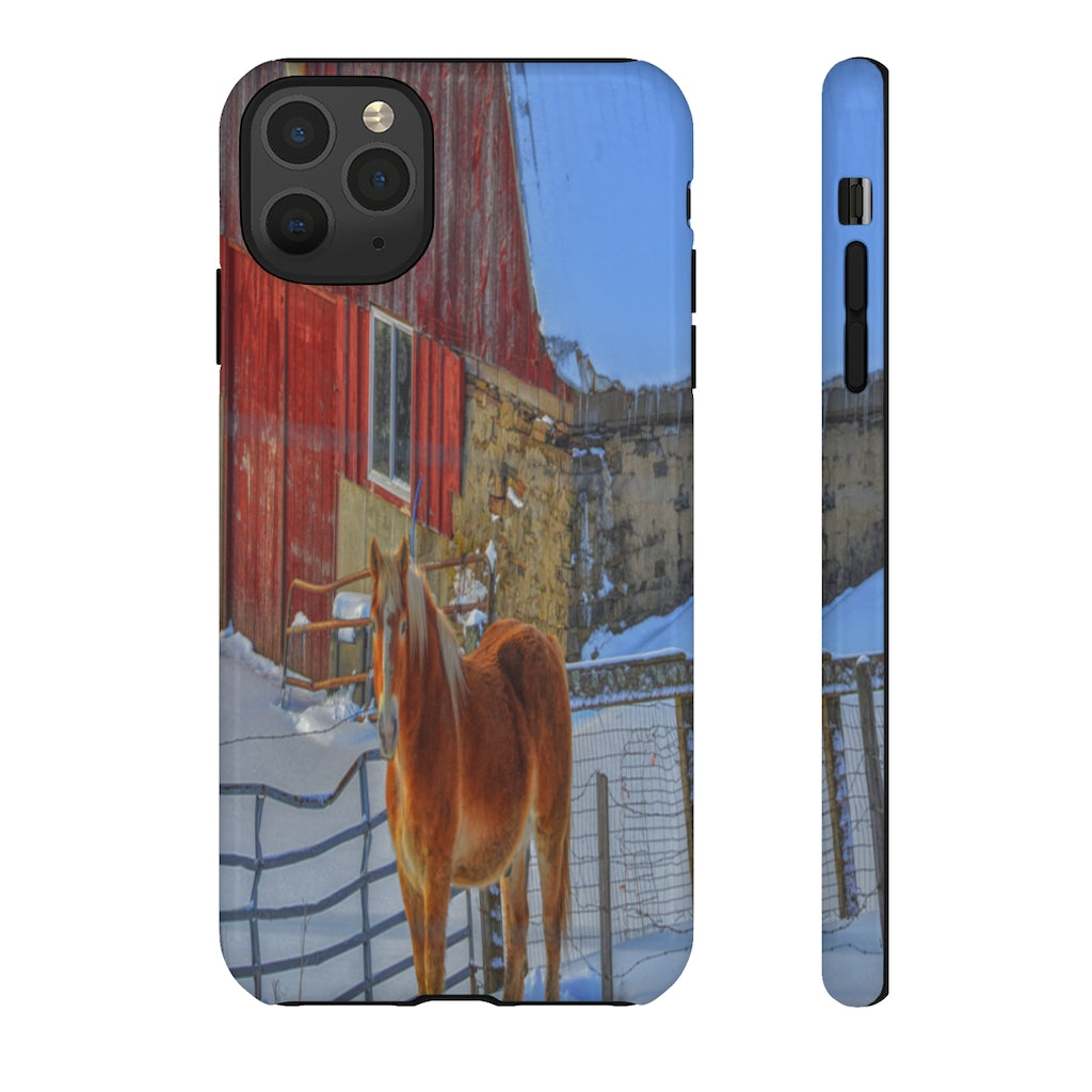 Haflinger in Winter Mobile Phone Case for iPhone and Samsung Galaxy