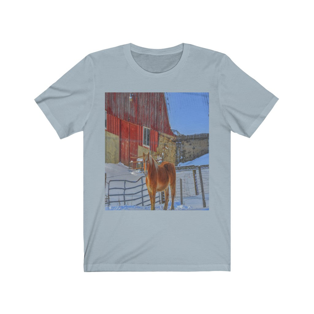 Haflinger Horse Unisex Jersey Short Sleeve Tee