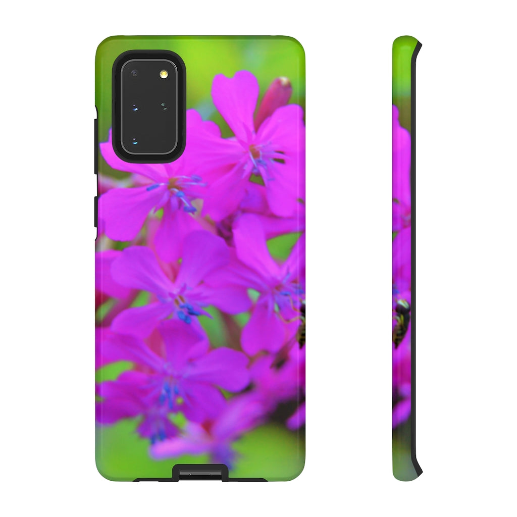 Sweet William Catchfly Mobile Phone Case for iPhone and Samsung Galaxy