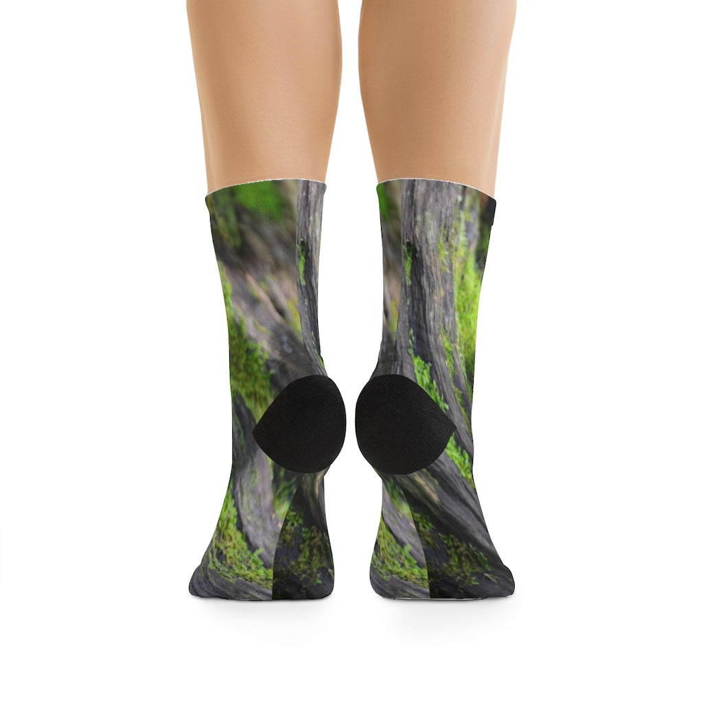 Mossy Log Socks