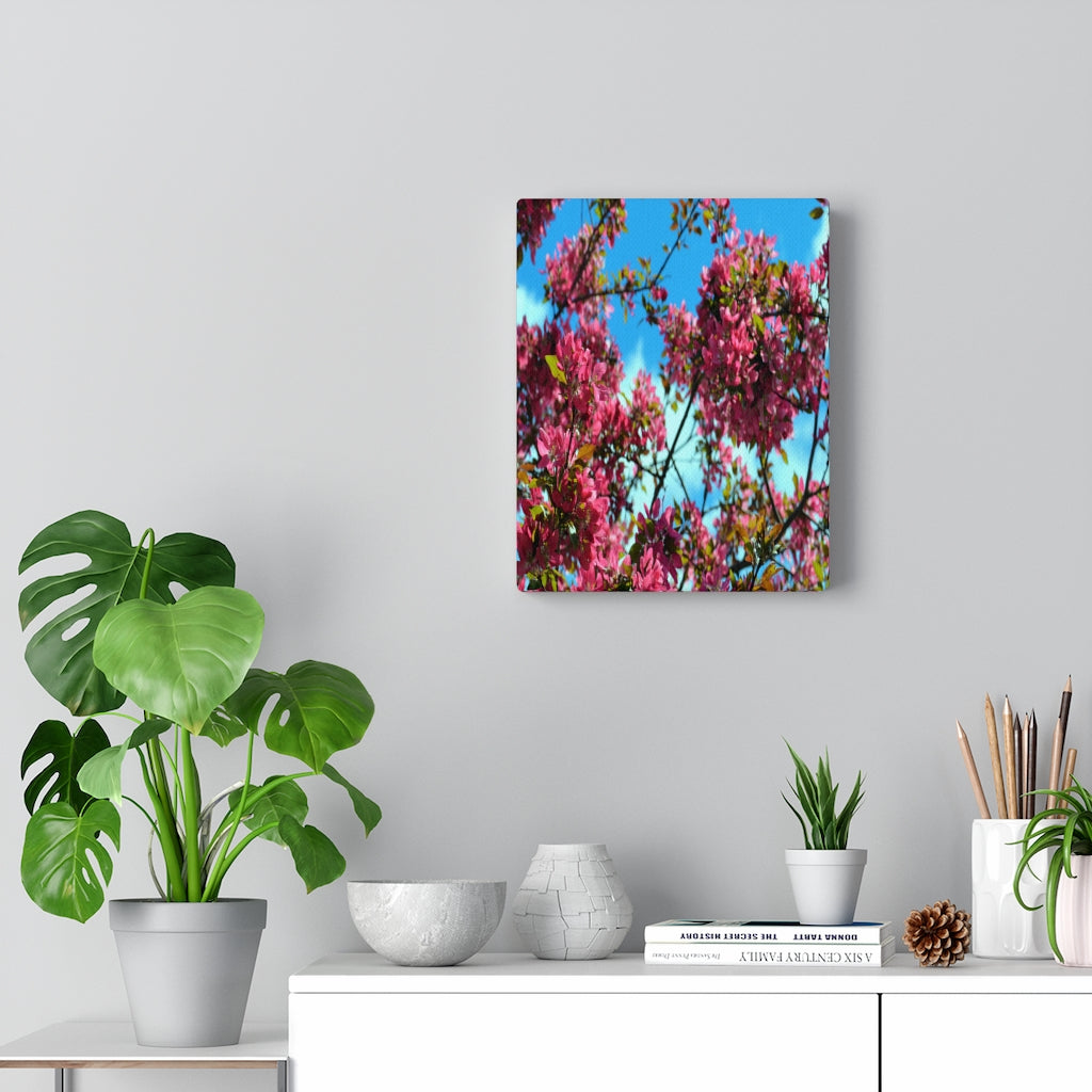 Flowering Crabapple Stretched Canvas