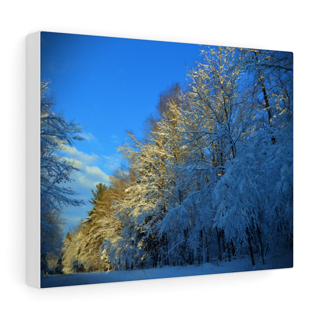 Winter Wonderland Stretched Canvas