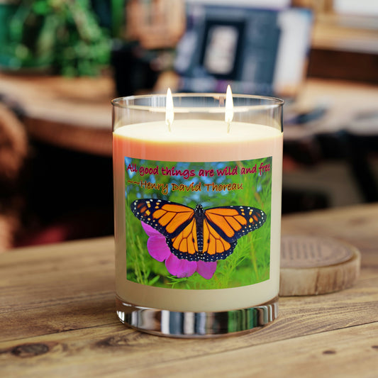 Double-wick Scented Candle - Full Glass, 11oz--Marco the Monarch Butterfly photo